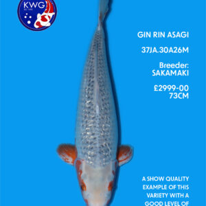 37JA.30A26M