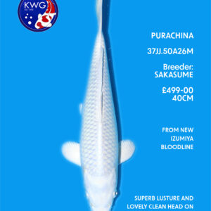 37JJ.50A26M