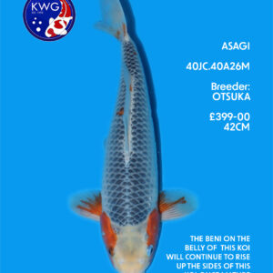 40JC.40A26M