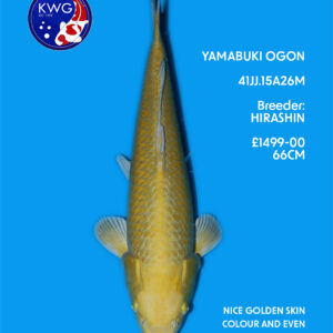 41JJ.15A26M