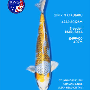 42AR.50J26M