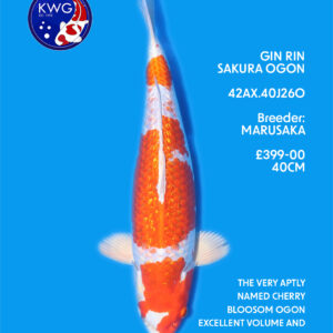42AX.40J260