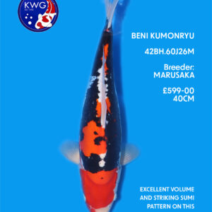42BH.60J26M