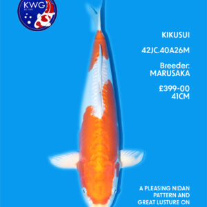 42JC.40A26M