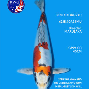 42JE.40A26MU