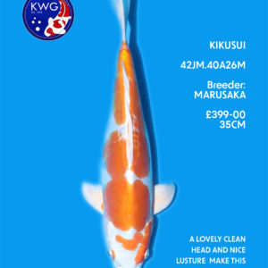 42JM.40A26M
