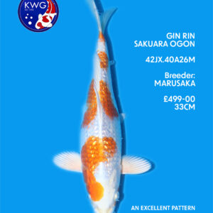 42JX.40A26M