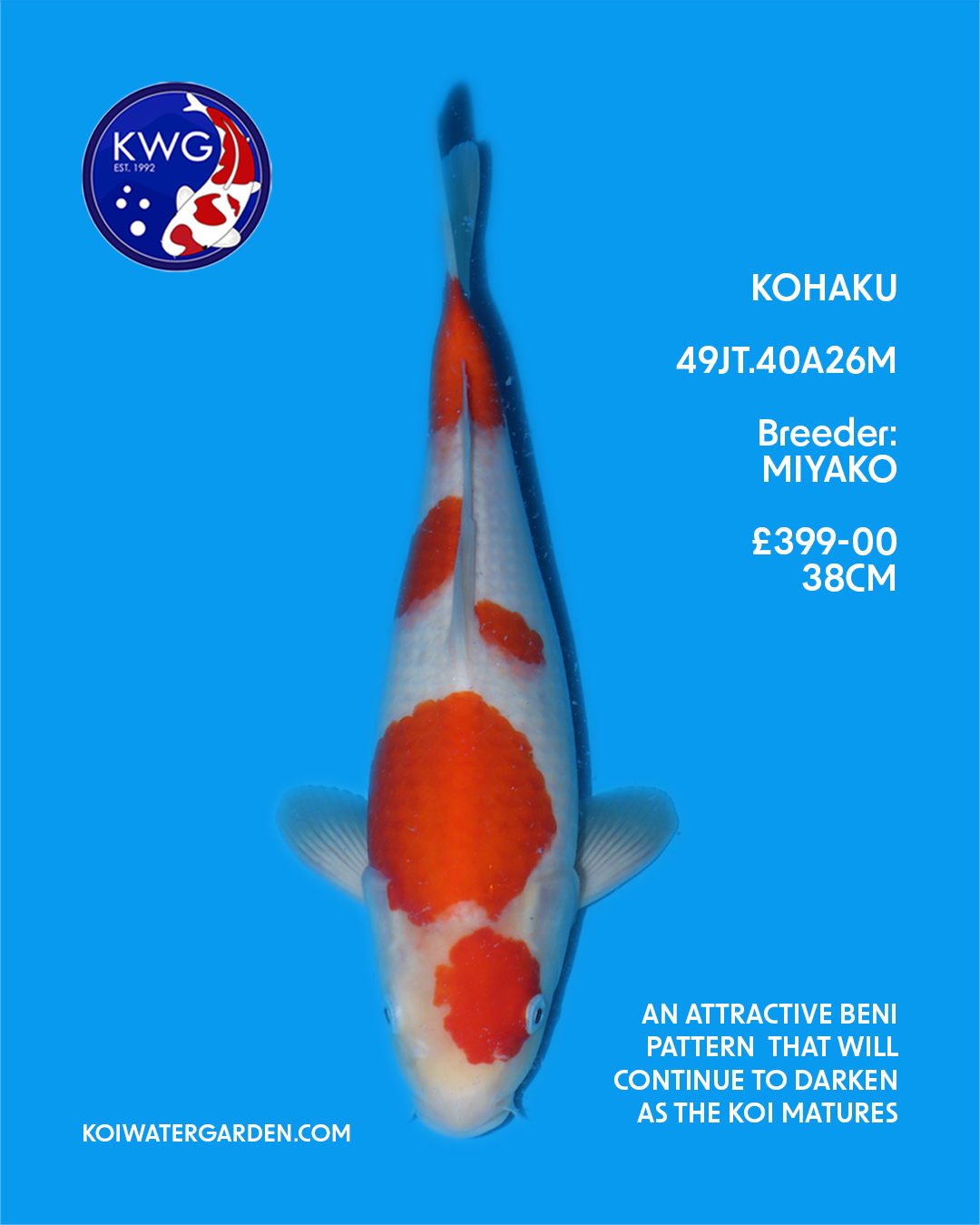 49JT.40A26M - Koi Water Garden Ltd.