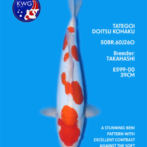 50BR.60J260