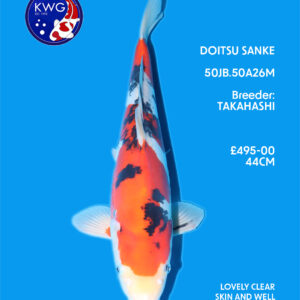 50JB.50A26M