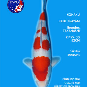 50KH.15A26M