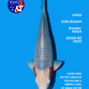 52JB.25A26M