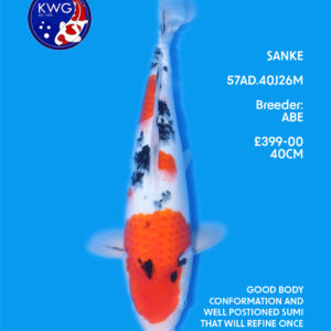 57AD.40J26M