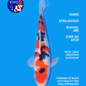 57AG.40J260