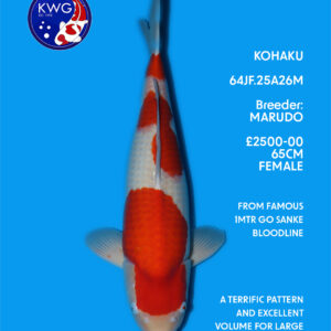 64JF.25A26M