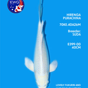 70KE.40A26M