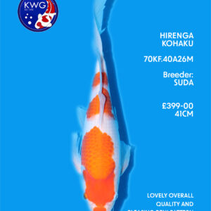 70KF.40A26M