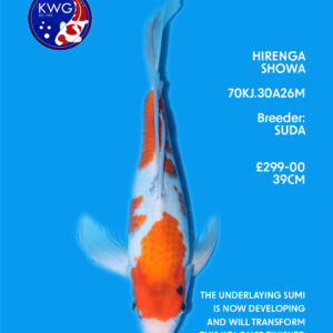 70KJ.30A26M