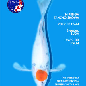 70KR.50A26M