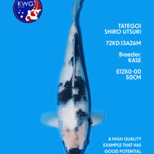 72KD.13A26M
