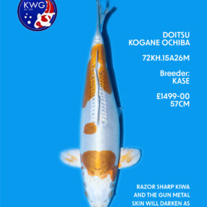 72KH.15A26M