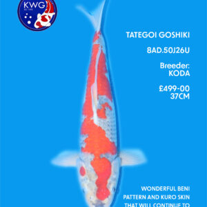 8AD.50J26U
