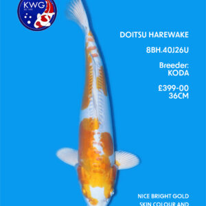 8BH.40J26U