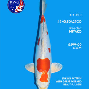 49KG.50A27OD