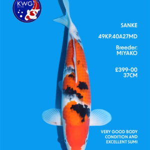49KP.40A27MD