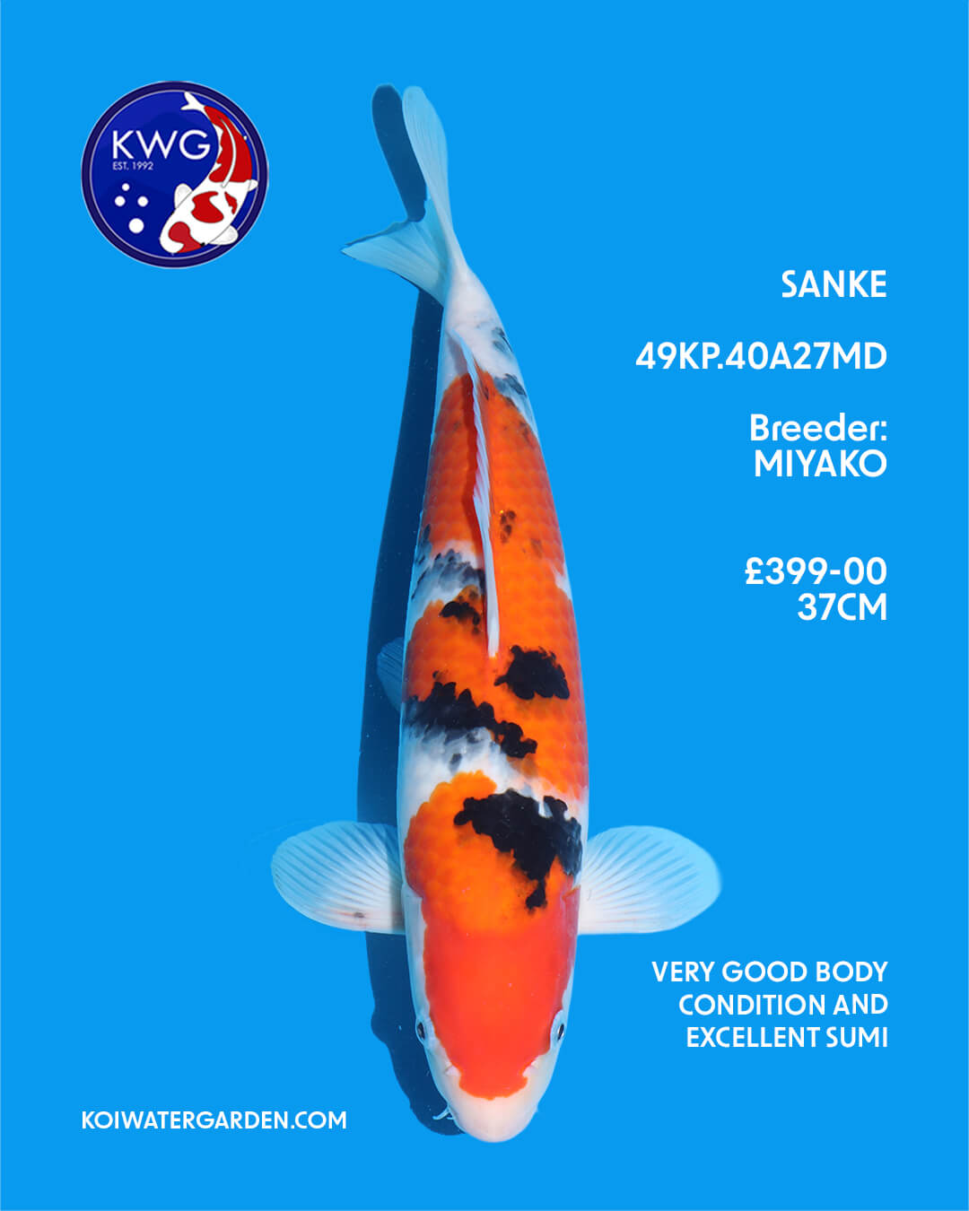 49KP.40A27MD