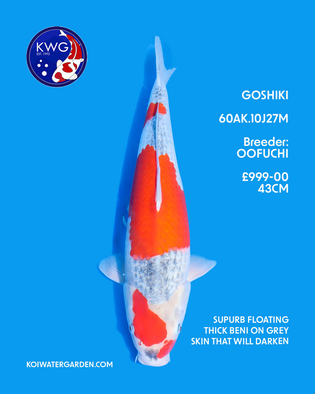60AK.10J27M