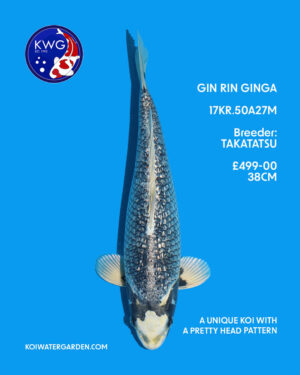 17KR.50A27M