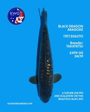 17KT.50A27O
