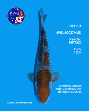 49JD.40C27MUD (2)