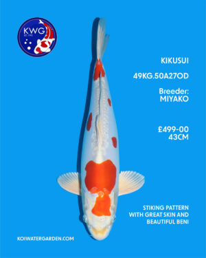 49KG.50A27OD