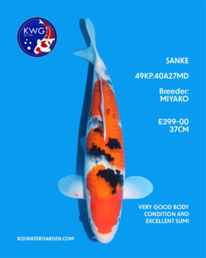 49kp.40a27md