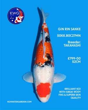 50KK.80C27MN
