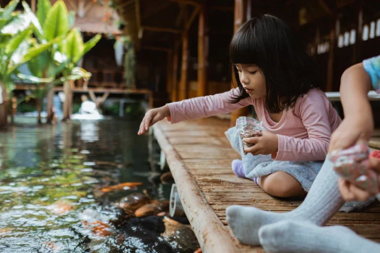 6655f8556e78a6fa1d6df188_Feeding_20Koi