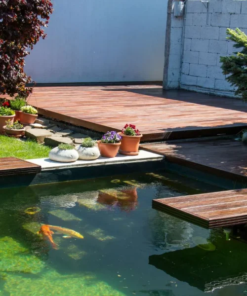 6655f8556e78a6fa1d6df876_how_20to_20build_20a_20koi_20pond