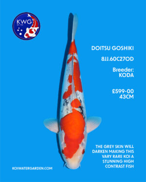 8JJ.60C27OD